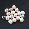 Half Drilled Cultured Freshwater Pearl Beads, Teardrop, natural, half-drilled, mixed colors, 6.5-7mm Approx 2mm 