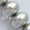 South Sea Shell Beads, Rondelle nickel, lead & cadmium free Approx 1mm Inch 