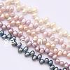 Button Cultured Freshwater Pearl Beads, Teardrop, natural, top drilled, mixed colors, 5-7mm Approx 0.5mm .5 Inch 