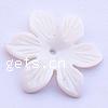 Natural Freshwater Shell Beads, Flower, Carved Approx 2mm 