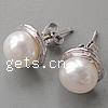Freshwater Pearl Stud Earring, sterling silver post pin, Dome, plated 