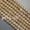 Perles de nacre rondes de culture d'eau douce, perle d'eau douce cultivée, naturel, Jaune, grade A, 5-6mm Environ 0.8mm pouce, Vendu par brin