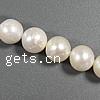 Round Cultured Freshwater Pearl Beads, natural white, Grade A, 9-10mm .7 Inch 