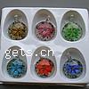 Inner Flower Lampwork Pendants, with Plastic Box, Flat Round, gold sand, mixed colors Approx 6mm 