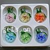 Inner Flower Lampwork Pendants, with Plastic Box, Apple, mixed colors Approx 7mm 