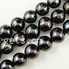 Round Cultured Freshwater Pearl Beads, natural, black, Grade A, 10-11mm Approx 0.8mm .7 Inch 