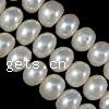 Button Cultured Freshwater Pearl Beads, natural 7-8mm Approx 0.8mm Inch 