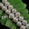 Round Cultured Freshwater Pearl Beads, natural  Grade AA, 8-9mm 