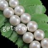Round Cultured Freshwater Pearl Beads, natural  Grade AA, 10-11mm 