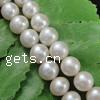 Round Cultured Freshwater Pearl Beads, natural, white, 7-8mm Approx 0.8mm 