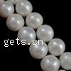 Round Cultured Freshwater Pearl Beads, natural  Grade AA, 11-12mm 