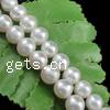 Round Cultured Freshwater Pearl Beads, natural Grade AA, 7-8mm Approx 0.8mm 
