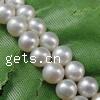 Perles de nacre rondes de culture d'eau douce, perle d'eau douce cultivée, naturel, plus de couleurs à choisir, Niveau AA, 5-6mm Environ 0.8mm Vendu par brin