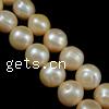 Round Cultured Freshwater Pearl Beads, natural Grade A, 10-11mm 