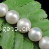 Round Cultured Freshwater Pearl Beads, natural  Grade AAA, 11-12mm 