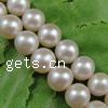 Round Cultured Freshwater Pearl Beads, natural Grade AAA, 7-8mm Approx 0.8mm 