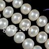 Button Cultured Freshwater Pearl Beads, natural 3-4mm Approx 0.8mm Inch 
