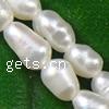 Rice Cultured Freshwater Pearl Beads, natural Grade A, 2-3mm Approx 0.8mm 