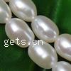 Perlas Arroz Freshwater, Perlas cultivadas de agua dulce, natural, más colores para la opción, Grado AA, 3-4mm, agujero:aproximado 0.8mm, longitud:15 , Vendido por Sarta