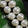 Freshwater Pearl Necklace, Round, natural, wrap necklace, white, 8-9mm Approx 0.8mm .5 Inch 