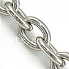 Stainless Steel Oval Chain, original color m 