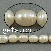 Rice Cultured Freshwater Pearl Beads, natural, yellow cream, Grade A, 7-8mm Approx 0.8mm .5 Inch 