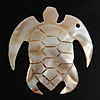Carved Shell Pendants, White Shell, Turtle, Grade A Approx 2mm 