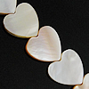 Natürliche weiße Muschelperlen, Herz, 12x12x3mm, Bohrung:ca. 0.5mm, Länge:ca. 15 ZollInch, ca. 34PCs/Strang, verkauft von Strang