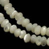 Perles de coquille de mer, coquillage, rondelle, blanc Environ Approx 1mm pouce Vendu par brin