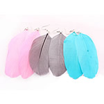 Mode Feder Ohrring, Eisen Haken, gemischte Farben, 80x25mm, 120PaarePärchen/Tasche, verkauft von Tasche