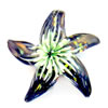 Inner Flower Lampwork Pendants, Star Approx 6mm 
