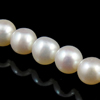Perles de nacre rondes de culture d'eau douce, perle d'eau douce cultivée, naturel, plus de couleurs à choisir, Niveau AA, 5.5-6mm Environ 0.8mm pouce, Vendu par brin