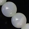 Seashell Beads, Natural Seashell, Round original color Inch 