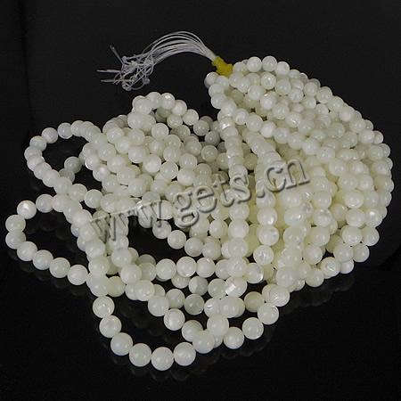 Seashell Beads, Natural Seashell, Round, different size for choice, original color, Length:16 Inch, Sold By Strand