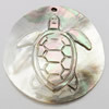 Carved Shell Pendants, Black Shell, Flat Round Approx 2.5mm 