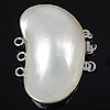 Shell Box Clasp, Brass, with White Shell, Bean, platinum color plated Approx 2mm 