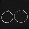 Stainless Steel Hoop Earring Component, Donut, original color, 20mm, 0.7mm 
