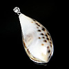 Trumpet Shell Pendant, Brass, with Trumpet Shell, Teardrop, platinum color plated, approx Approx 5.5mm 