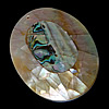 Mosaic Pattern Shell Pendants, Yellow Shell, with Abalone Shell, Flat Oval, approx Approx 1.5mm 