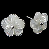 White Shell Earrings, 925 Sterling Silver, with White Shell, Flower, plated 