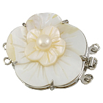 Fermoir cliquet coquillage, laiton, avec coquille, fleur, 3 brins & avec les perles Environ 1.5mm, Vendu par PC
