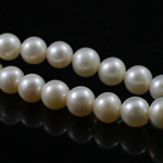 Perles de nacre rondes de culture d'eau douce, perle d'eau douce cultivée, naturel, blanc, grade A, 5-6mm Environ 0.8mm pouce, Vendu par brin