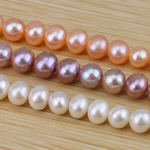 Round Cultured Freshwater Pearl Beads, natural Grade A, 7-8mm Approx 0.8mm Inch 