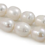 Perles d'eau douce de culture de riz, perle d'eau douce cultivée, naturel, blanc, grade A, 11-12mm Environ 0.8mm .5 pouce, Vendu par brin
