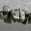 Чипы драгоценных камней, далматинский, Кусочки, 5-8mm, длина:32 дюймовый, продается Strand