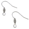 Stainless Steel Hook Earwire, 304 Stainless Steel, with 316L Stainless Steel, with loop, original color Approx 2mm 