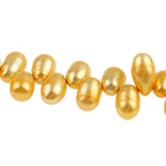 Искусственные жемчужные бусины пресноводные в форме капли, Пресноводные жемчуги, Каплевидная форма, Топ Бурение, Золотой, 12-13mm, отверстие:Приблизительно 0.8mm, длина:15.5 дюймовый, продается Strand