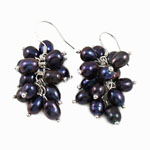 Natürliche kultivierte Süßwasserperlen Cluster-Ohrring, Messing Haken, schwarz, verkauft von Paar
