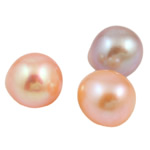No Hole Cultured Freshwater Pearl Beads, Teardrop, natural, mixed colors, Grade AA, 11-12mm 