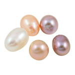 No Hole Cultured Freshwater Pearl Beads, Rice, natural, mixed colors, Grade AA, 7-8mm 